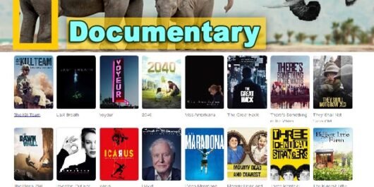 amazon firestick 4k fully loaded, android app iptv, android iptv, best android box for iptv, best buy iptv, best iptv, best iptv for firestick 4k, best iptv for smart tv, best iptv for tivimate iptv on fire tv stick 4k iptv for firestick 2023, best iptv in the uk, best iptv player, best iptv premium best iptv tv, best iptv provider, best iptv provider in uk, best iptv server buy iptv, best iptv services, best iptv subscription, best iptv subscription buy iptv subscription, best iptv subscription uk, best iptv supplier, best pay iptv, buy iptv channels, channel list, cheap iptv, firestick iptv subscription, fully loaded firestick, hd iptv, ip smart tv, iptv android box, iptv box uk, iptv channel, iptv firestick, iptv firestick uk iptv firestick 2023, iptv for uk, iptv live tv, iptv on amazon stick, iptv on android, iptv on fire tv stick 4k, iptv on tv, iptv premium subscription, iptv provider uk, iptv providers, iptv reseller panel, iptv server, iptv server uk, iptv service provider, iptv service uk, iptv set, iptv smarters pro, iptv smarters subscription, iptv sport channel, iptv stream player, iptv sub, iptv subscription, iptv tv, iptv uk, iptv uk tv, iptv world, the best iptv, the best iptv box, the best iptv provider, uk iptv media, uk iptv reviews, ukiptv iptv package